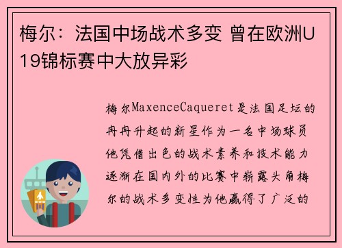 梅尔:法国中场战术多变 曾在欧洲U19锦标赛中大放异彩 梅尔:法国中场战术多变 曾在欧洲U19锦标赛中大放异彩