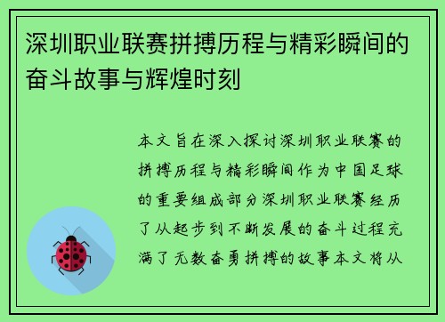 深圳职业联赛拼搏历程与精彩瞬间的奋斗故事与辉煌时刻